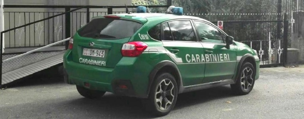 https://www.radiovenere.net:443/UserFiles/Articoli/forze_dell-ordine/CARABINIERI FORESTALI